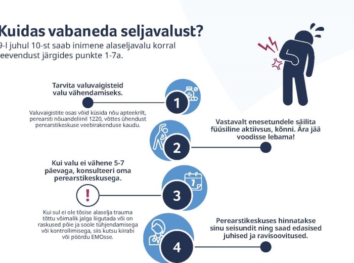 Seljavalu juhend seljavalu juhend