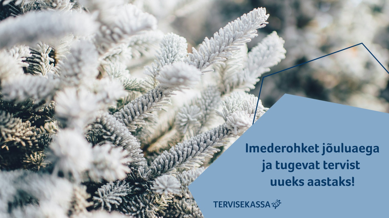 Lumised oksad Tervisekassa jõulutervitusega