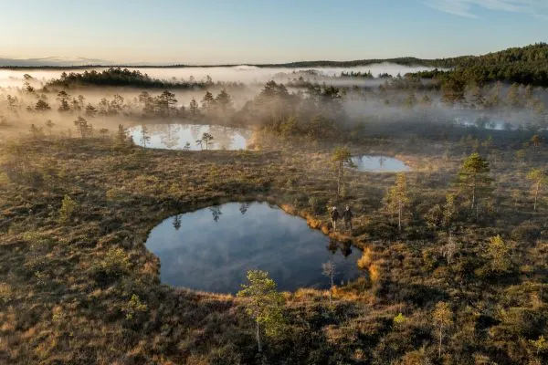 Kõrvemaa