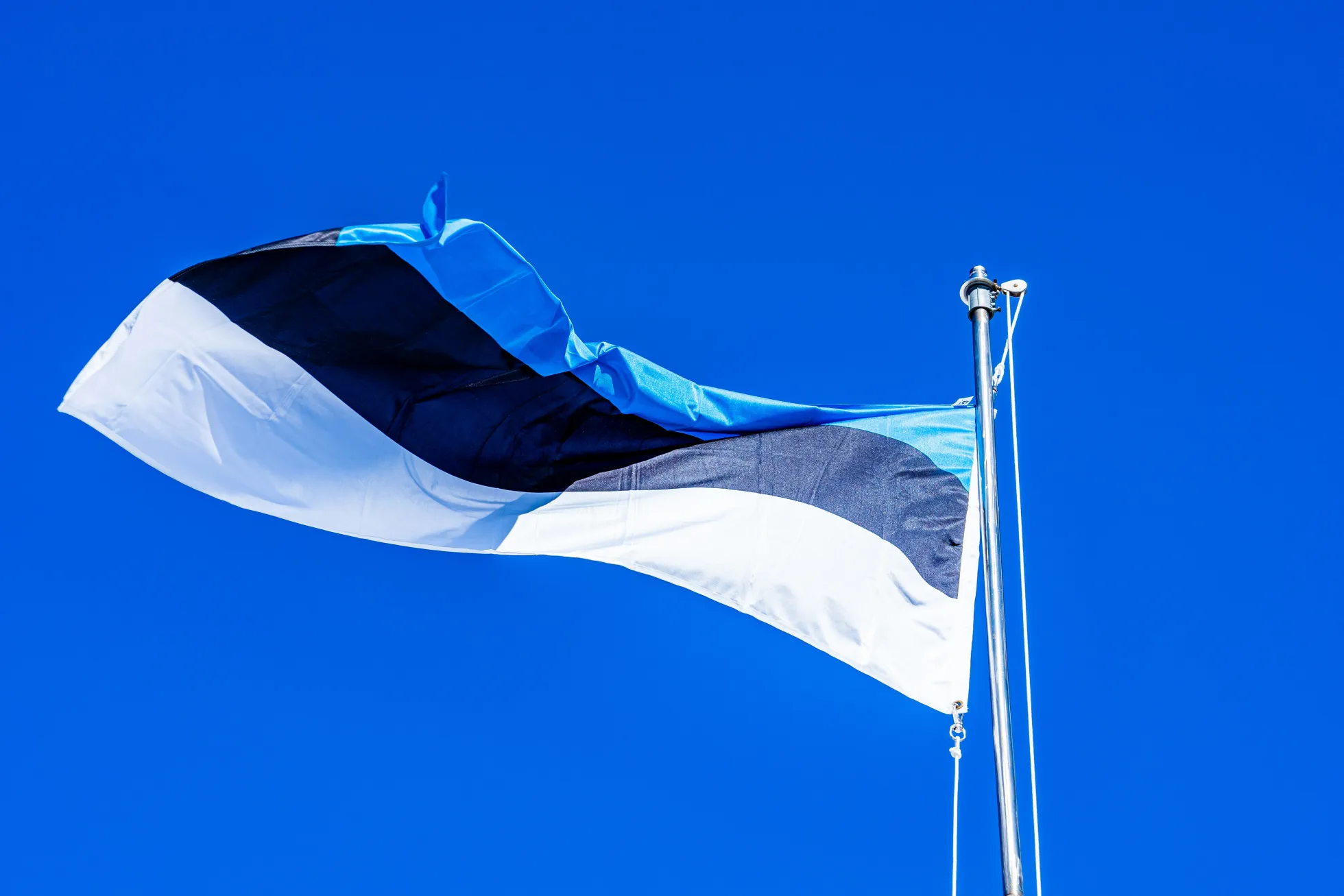 Ilusat taasiseseisvumispäeva! Foto: pildipank.